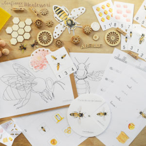 Cahier d'activités sur les abeilles
