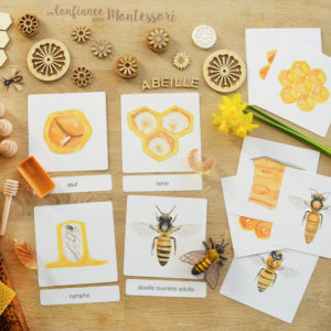 Images classifiées abeilles