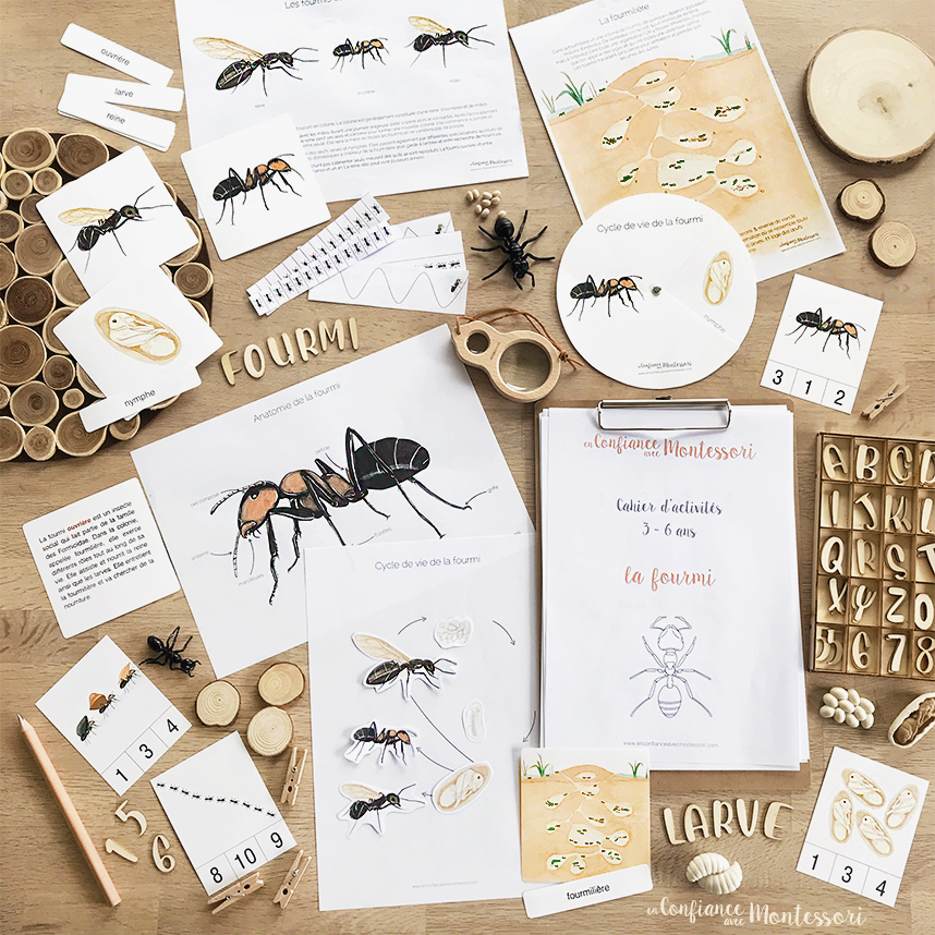 Pack d'inspiration Montessori sur le thème de la fourmi