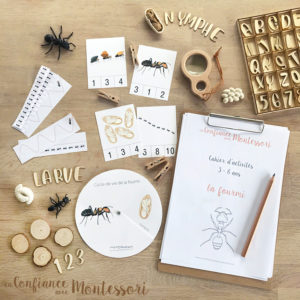 cahier d'activités d'inspiration Montessori sur le thème de la fourmi