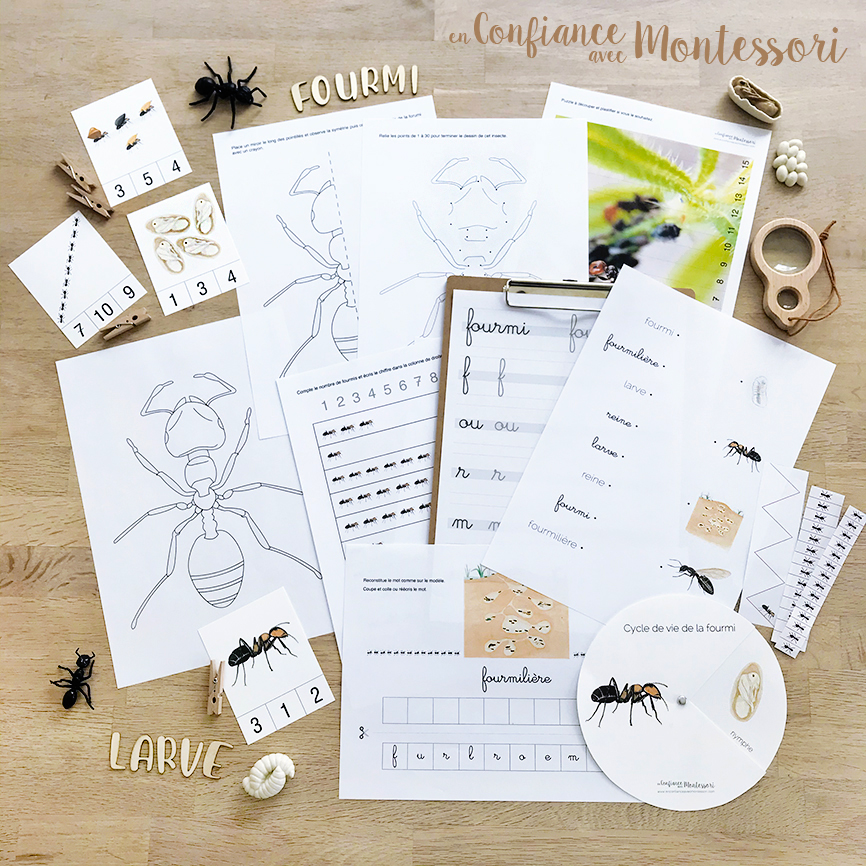 cahier d'activités d'inspiration Montessori sur le thème de la fourmi
