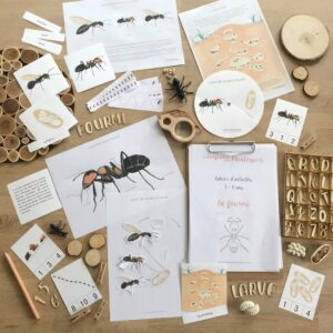 Pack d'inspiration Montessori sur le thème de la fourmi