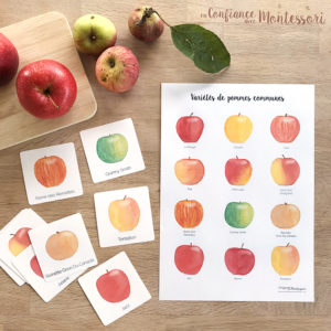 Affiche + cartes varietes pommes