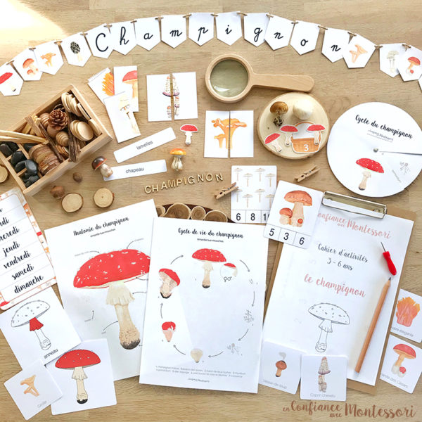 Pack de matériel Montessori sur le thème du champignon