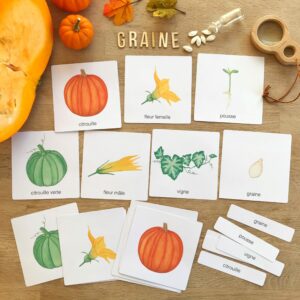 Images classifiées Montessori sur les différentes variétés du cucurbitacées