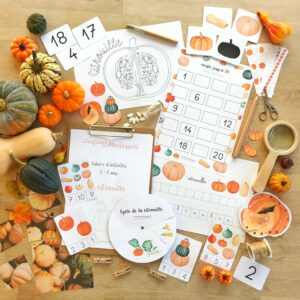 Cahier d’activités sur le thème de la citrouille