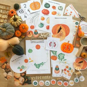 Pack sur le thème de la citrouille