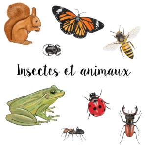 Insectes et animaux
