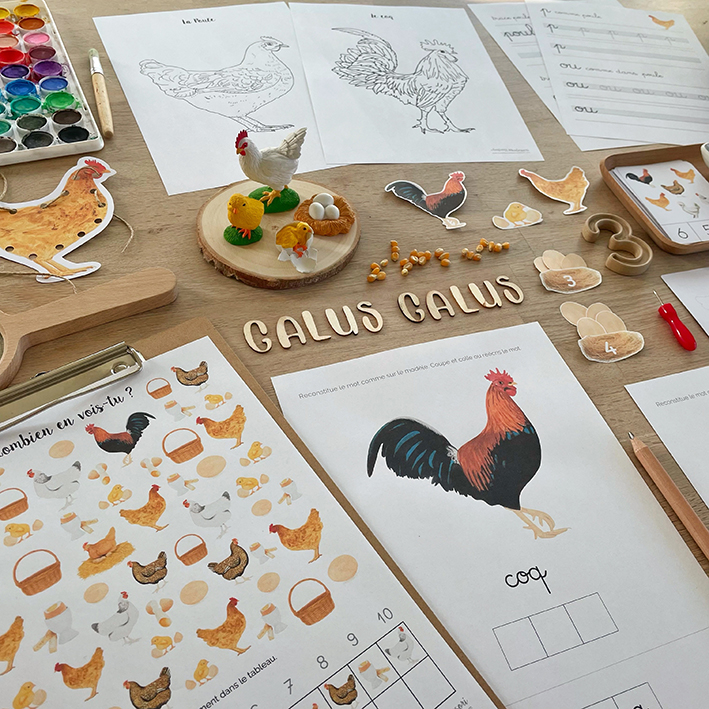 Cahier d'activités Montessori sur le thème de la poule pour les enfants de 3 à 7 ans