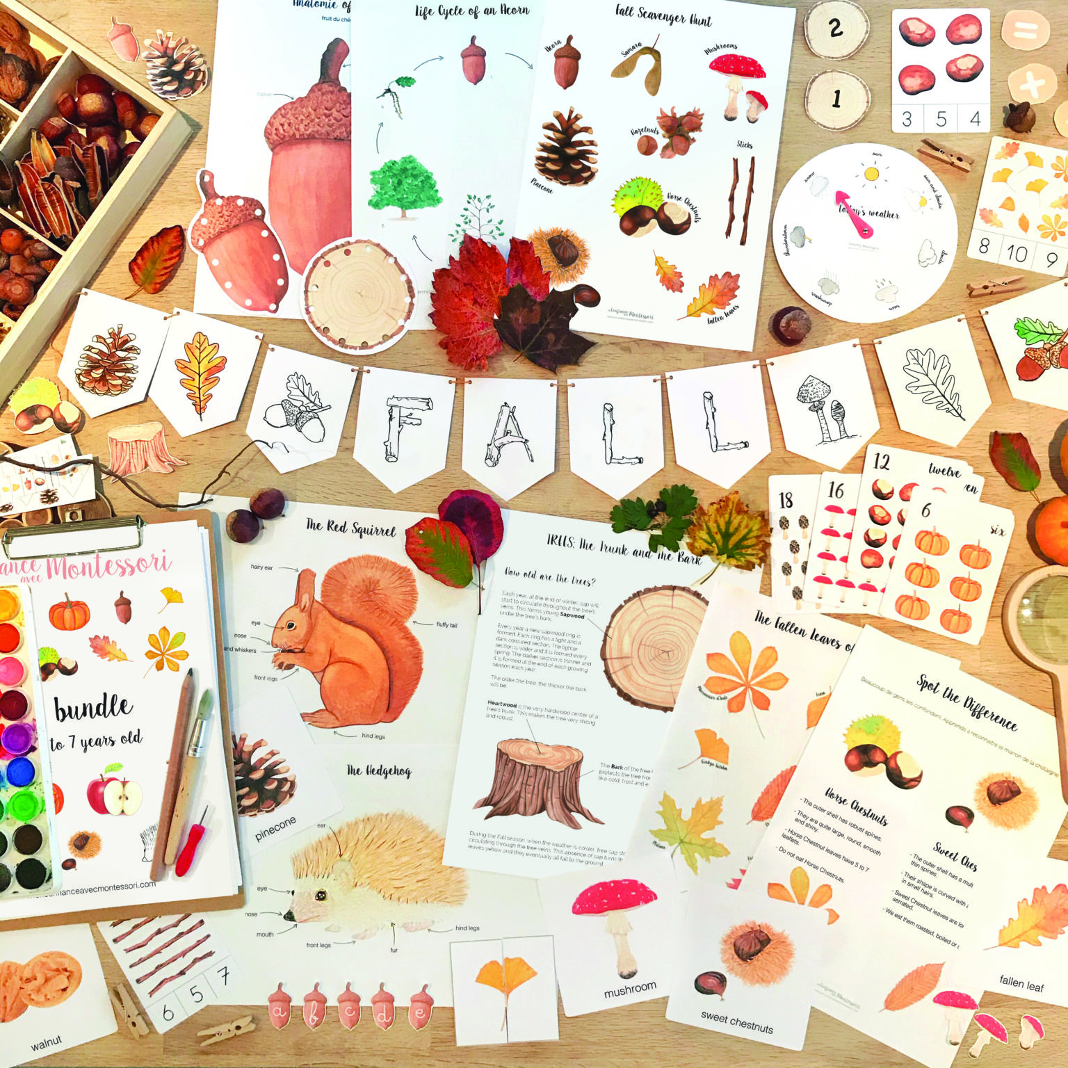 Pack complet d'inspiration Montessori sur le thème de l'automne