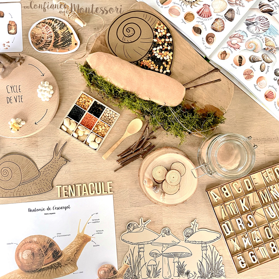Pack de matériels à imprimer sur le thème de l'escargot inspirés des pédagogies Montessori et Mason. Pour les enfants de 3 à 7 ans.