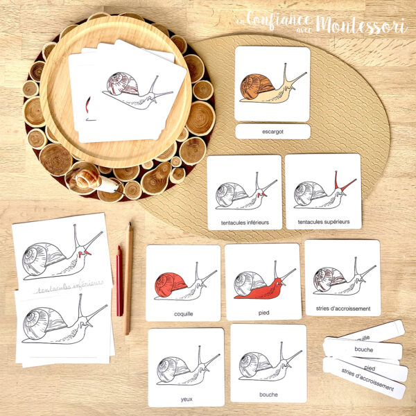 Pack de matériels à imprimer sur le thème de l'escargot inspirés des pédagogies Montessori et Mason. Pour les enfants de 3 à 7 ans.