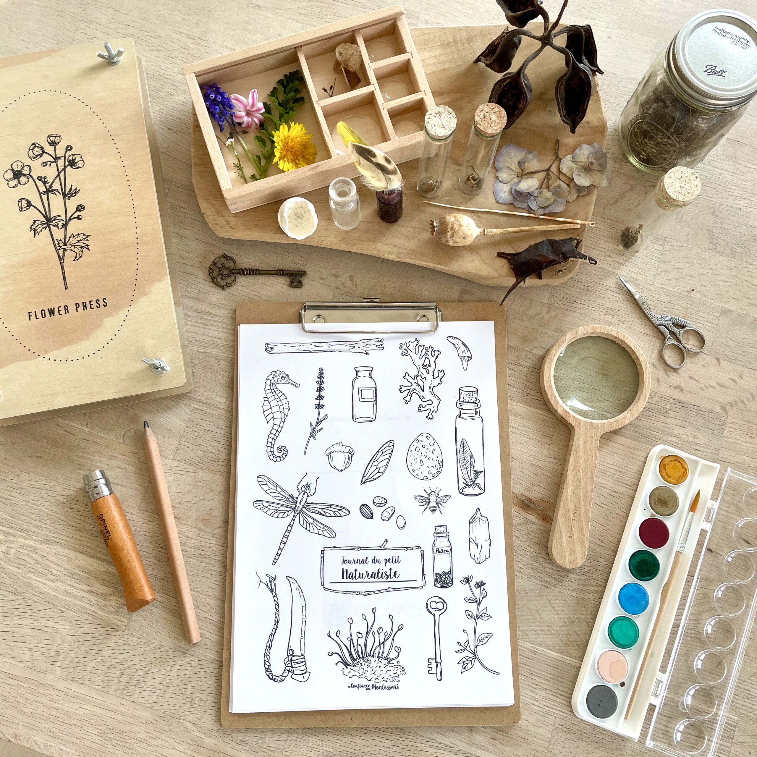 Journal du petit Naturaliste Offert