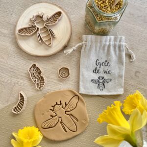 Emporte-pièces Cycle de vie de l'Abeille