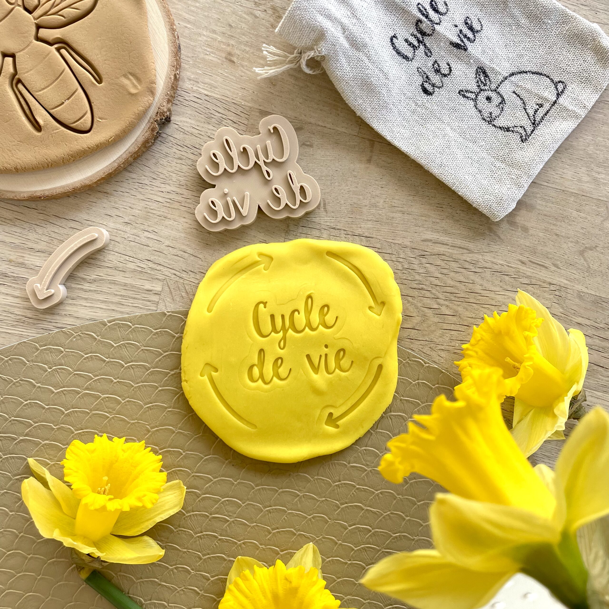 Tampons "Cycle de vie" + flèche