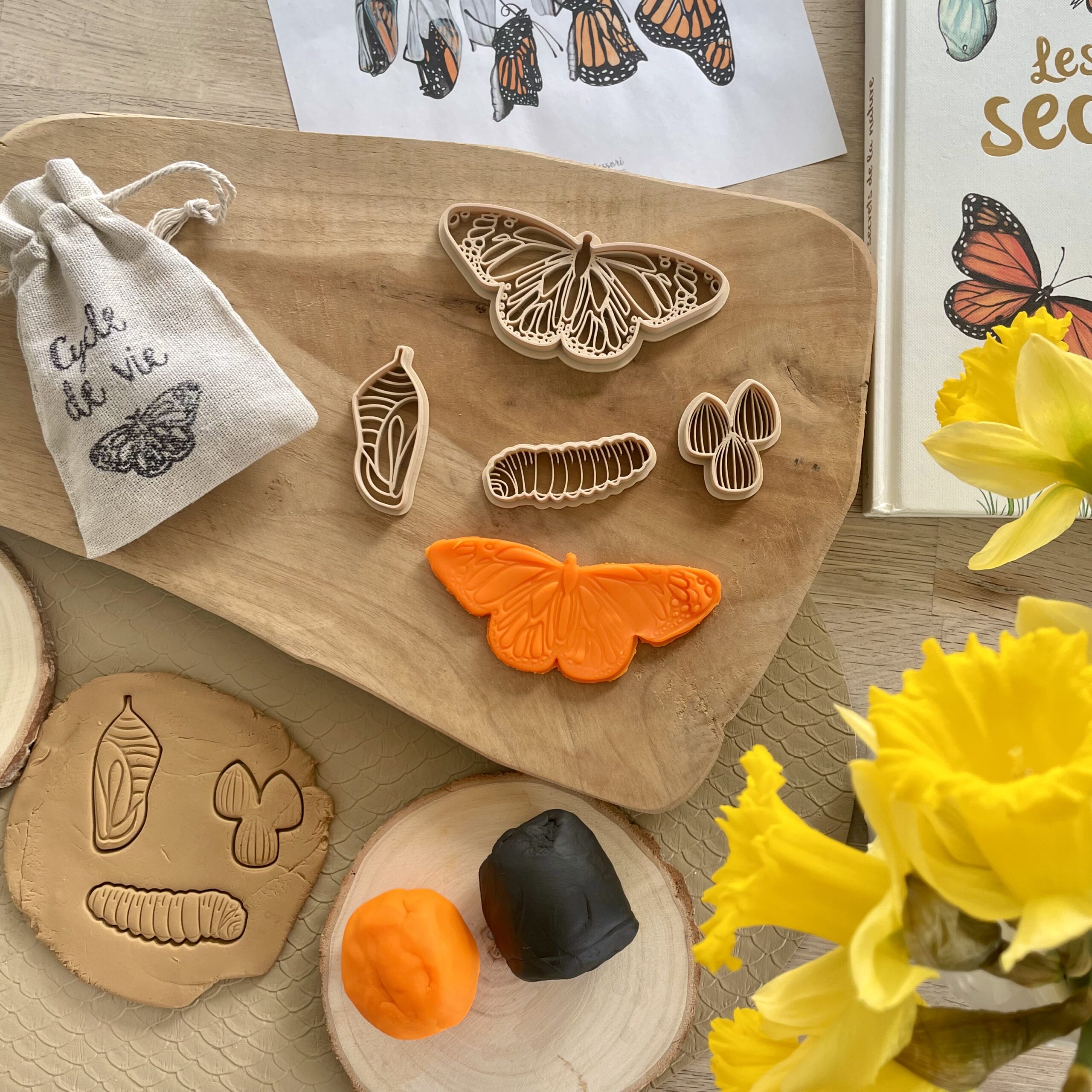 Emporte-pièces Cycle du Papillon