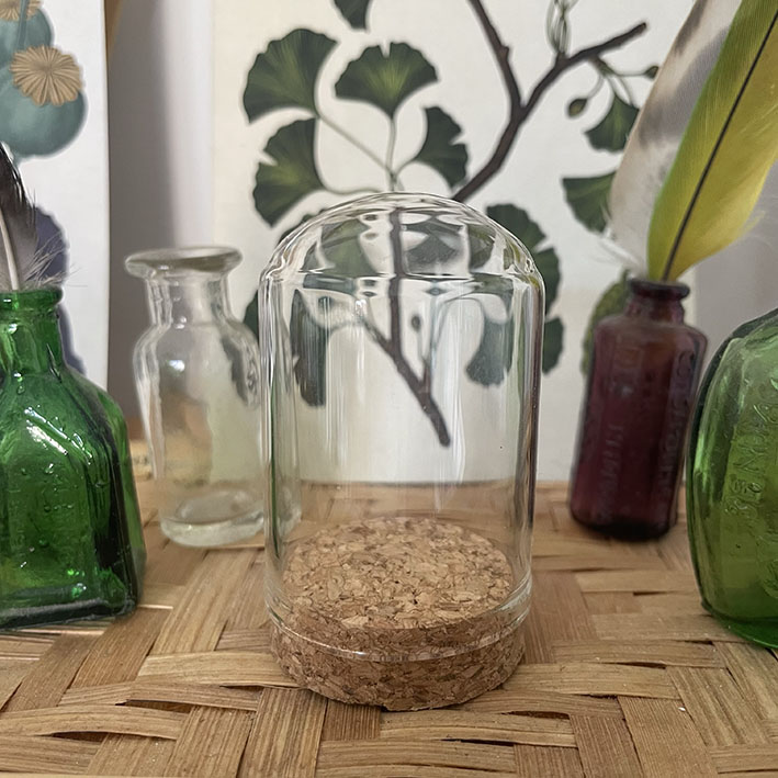 Cloche en verre avec bouchon en liège
