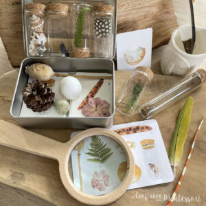 Le kit du petit naturaliste