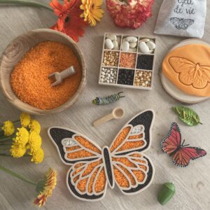 Plateau sensoriel Papillon