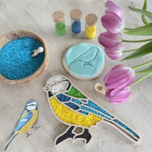 Plateau sensoriel Mésange