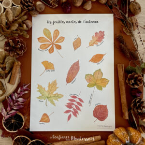 Affiche A4 imprimée Feuilles mortes