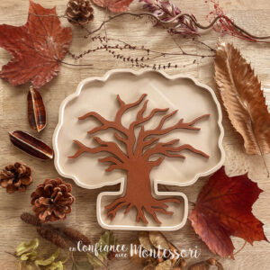 Plateau sensoriel Arbre