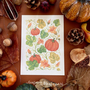 Carte A6 imprimée Champ de citrouilles