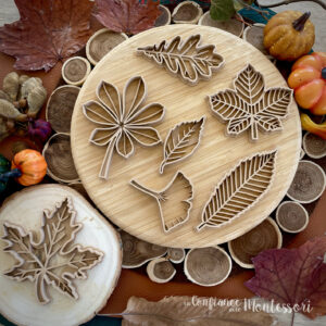 Emporte-pièces Feuilles d'Automne x7