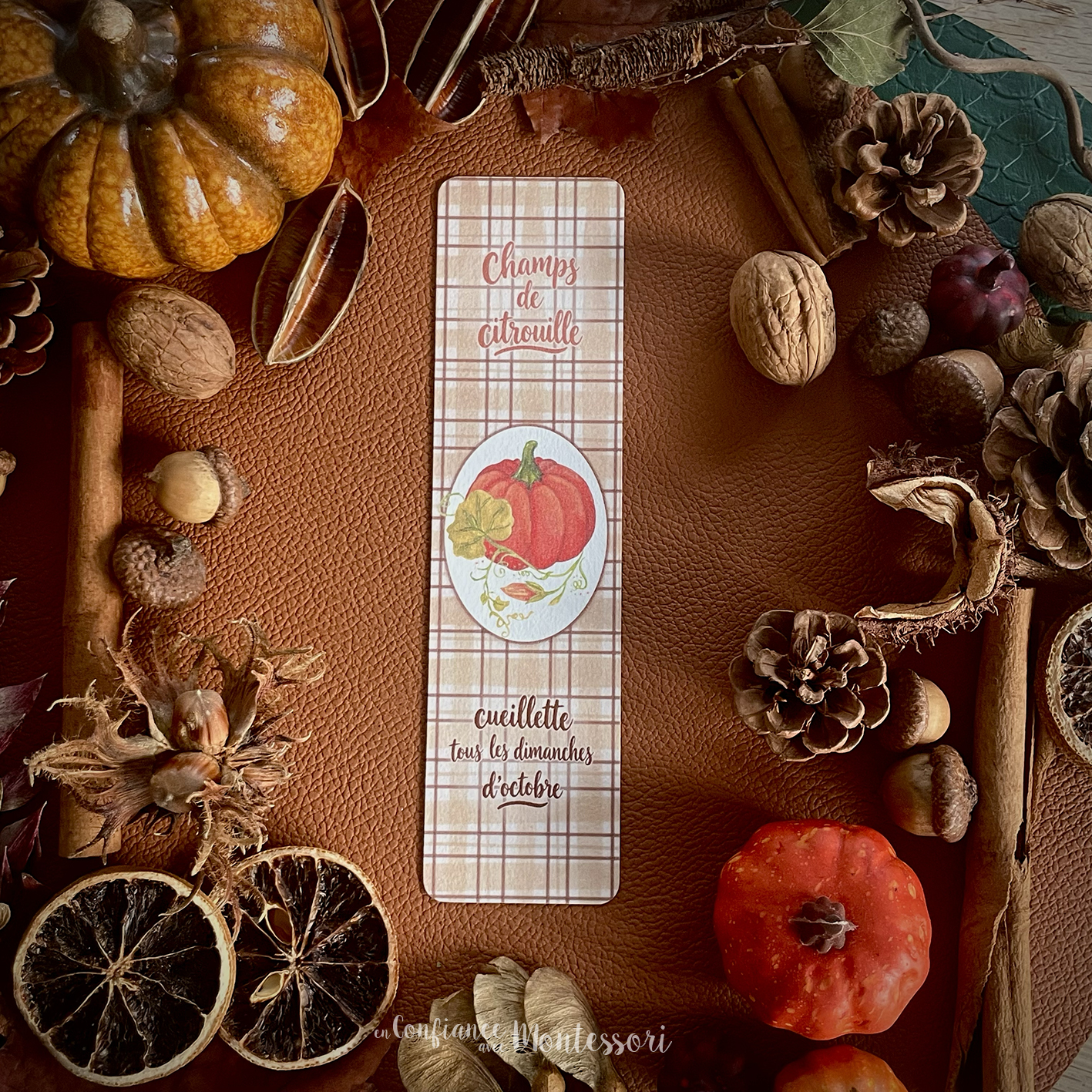 Marque page Champ de citrouilles