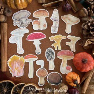 Pochette de stickers Champignons