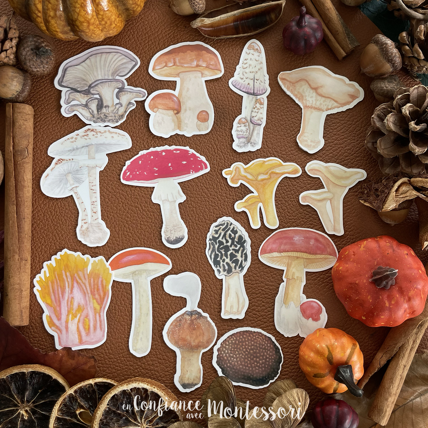 Pochette de stickers Champignons