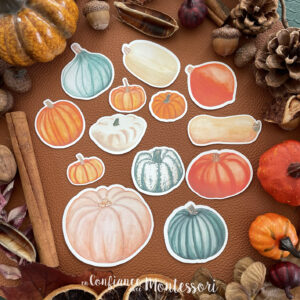 Pochette de stickers Citrouilles