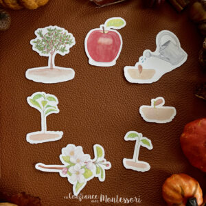 Pochette de stickers cycle de vie de la Pomme