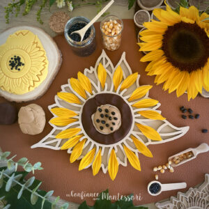 Plateau sensoriel Tournesol